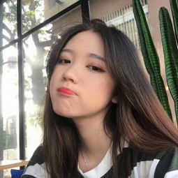 24名中国游客在加拿大因交通事故受伤